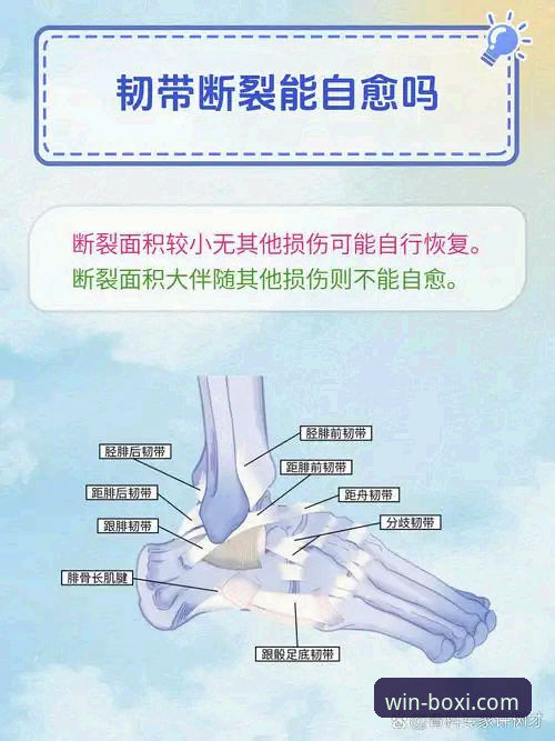 博喜体育和博鱼体育哪个好iOS版 从韧带断裂到世界杯梦想:瑞典中场贝里瓦尔康复之路完整指南